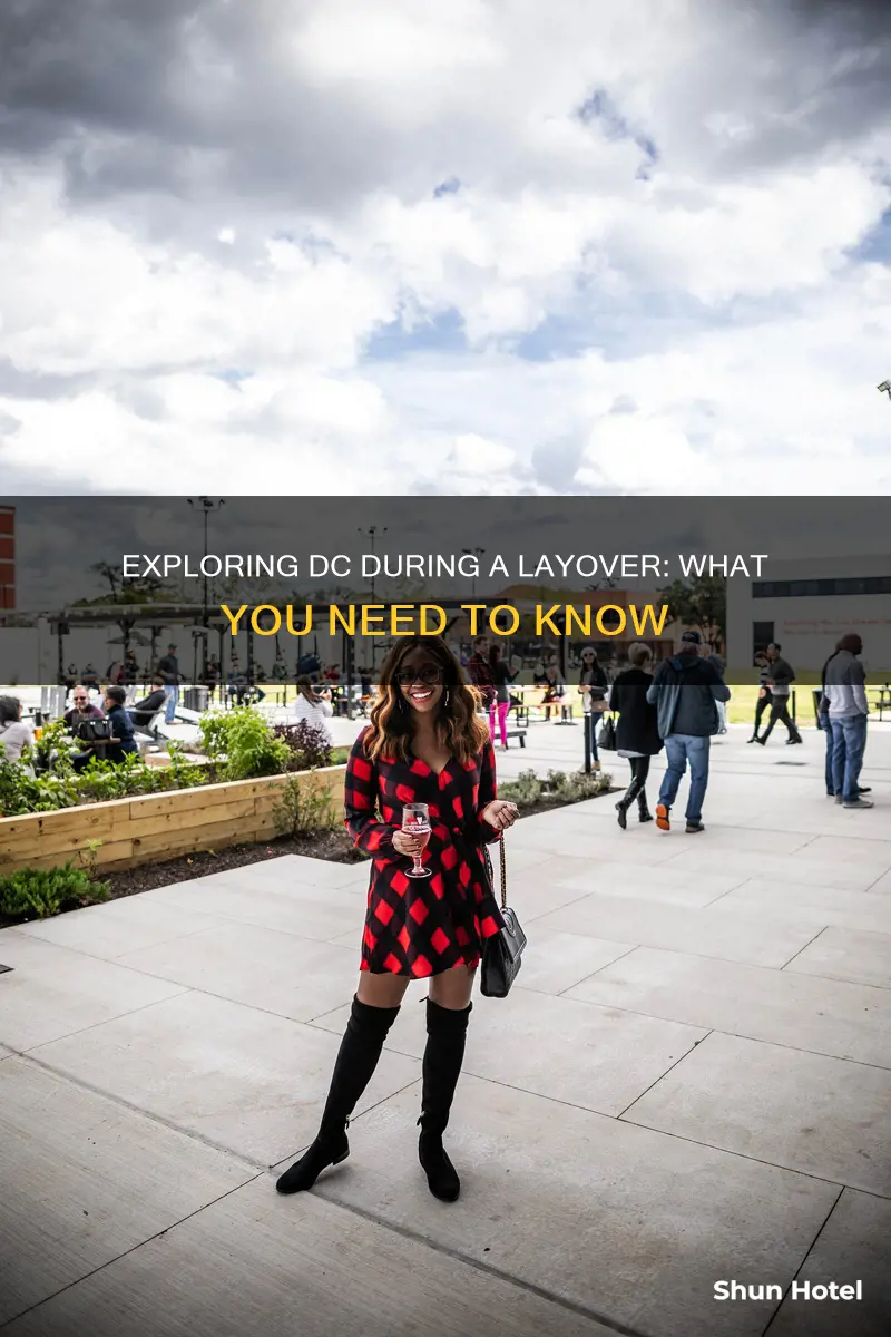 can you leave the airport during a layover dca airport