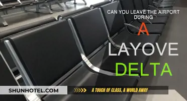 Exploring During a Layover: What Delta Fliers Need to Know
