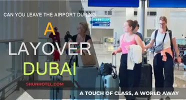 Exploring Dubai During a Layover: Is It Possible?
