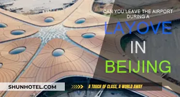 Exploring Beijing During a Layover: Is It Possible?