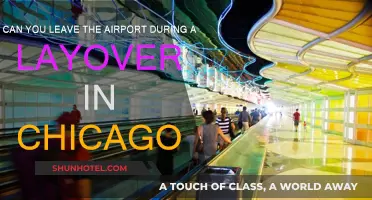 Exploring Chicago: Making the Most of Your Layover