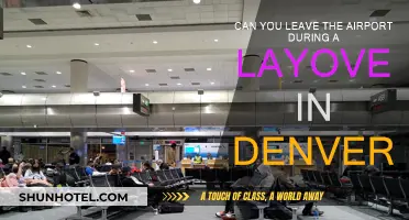 Exploring Denver: Layover Edition