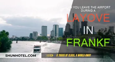 Exploring Frankfurt During a Layover: Is It Possible?