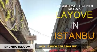 Istanbul Layover: Can You Leave the Airport?