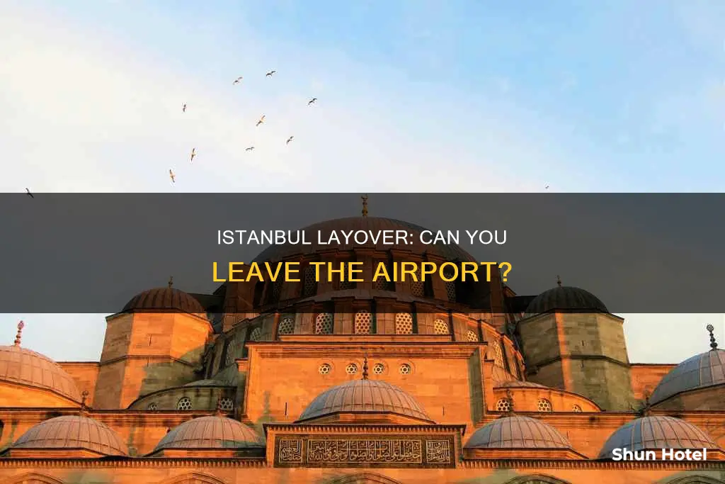 can you leave the airport during a layover in istanbul