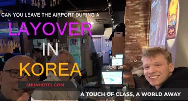 Exploring Korea During a Layover: Can You Leave the Airport?
