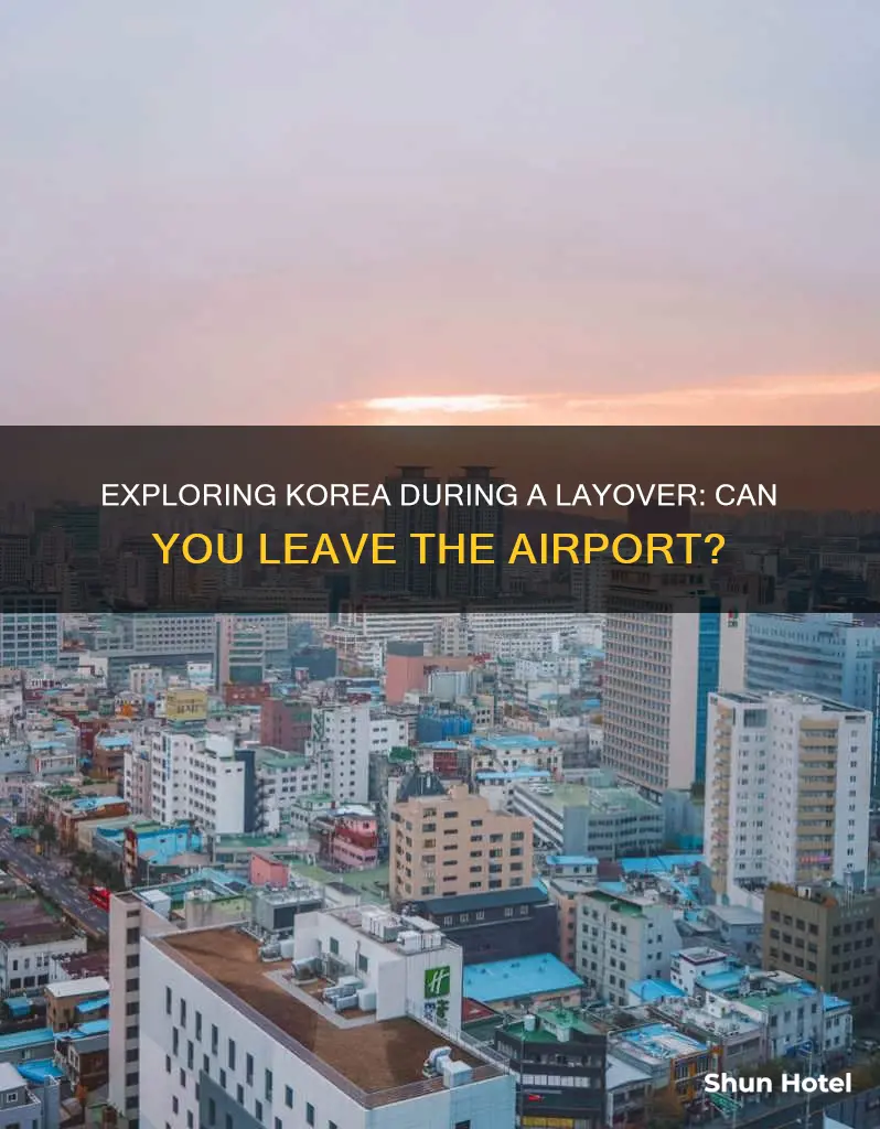 can you leave the airport during a layover in korea