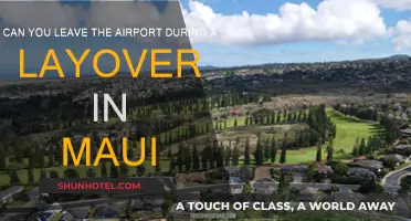 Exploring Maui During a Layover: What You Need to Know