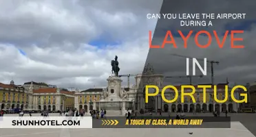 Exploring Portugal During a Layover: What You Need to Know