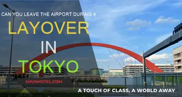 Exploring Tokyo During a Layover: Is It Possible?
