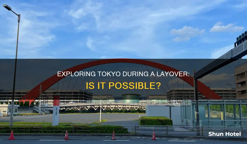 can you leave the airport during a layover in tokyo