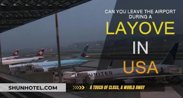 Exploring During a Layover: What Are Your Options?