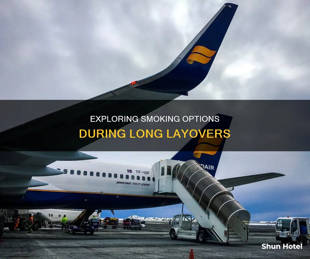 can you leave the airport during a layover to smoke