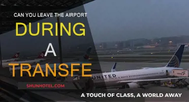 Exploring the City During a Layover: Is It Possible?