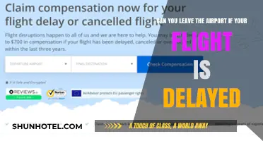 Unexpected Layovers: Exploring Options During Delayed Flights