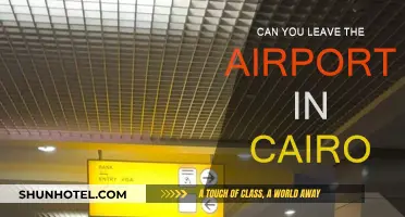 Exploring Cairo: Can You Leave the Airport?