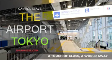 Explore Tokyo: Leaving the Airport and Beyond