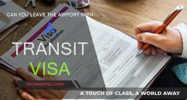 Exploring Transit Visa: Can You Leave the Airport?