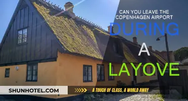 Exploring Copenhagen on a Layover: Is It Possible?