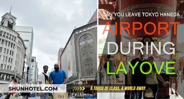 Exploring Tokyo on a Layover: Can You Leave Haneda Airport?