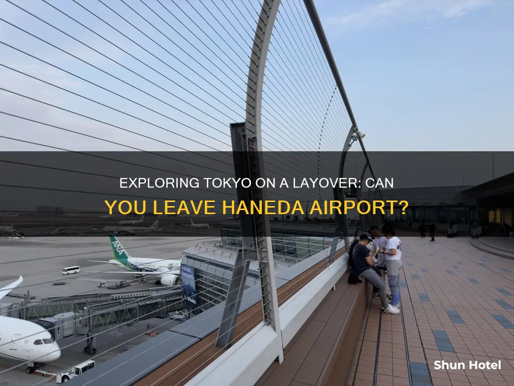 can you leave tokyo haneda airport during layover