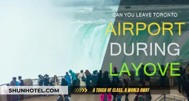 Exploring Toronto During a Layover: What You Need to Know