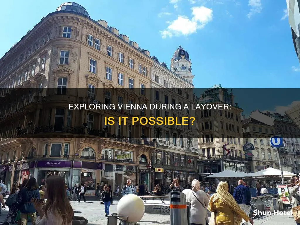 can you leave vienna airport during layover