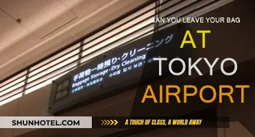 Bag Storage at Tokyo Airport: Is It Possible?