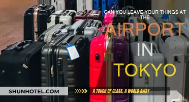Tokyo Airports: Storing Your Things Securely