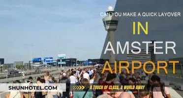Amsterdam Airport Layover: Quick Stopover, What to Do?