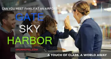 Sky Harbor's Gate Meeting Area: Can Families Gather?
