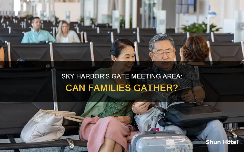 can you meet family at an airport gate sky harbor