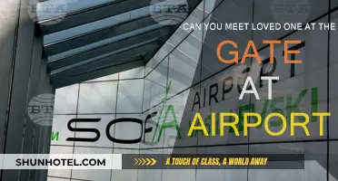 Airport Arrivals: Can You Greet Loved Ones?