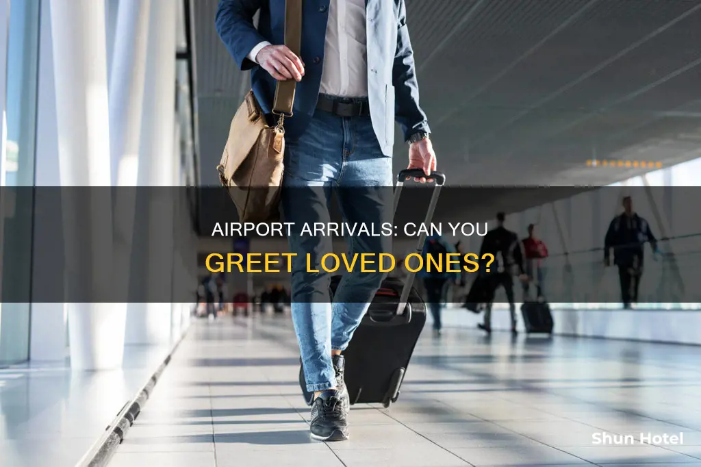 can you meet loved one at the gate at airport