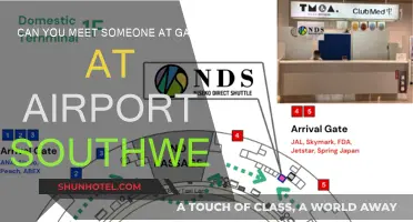 Meeting Guests at the Airport Gate