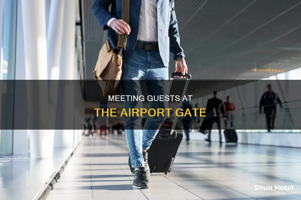 can you meet someone at gate at airport southwest