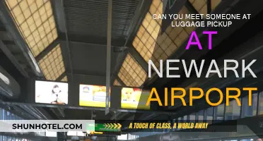 How to Arrange a Meetup at Newark Airport's Baggage Claim