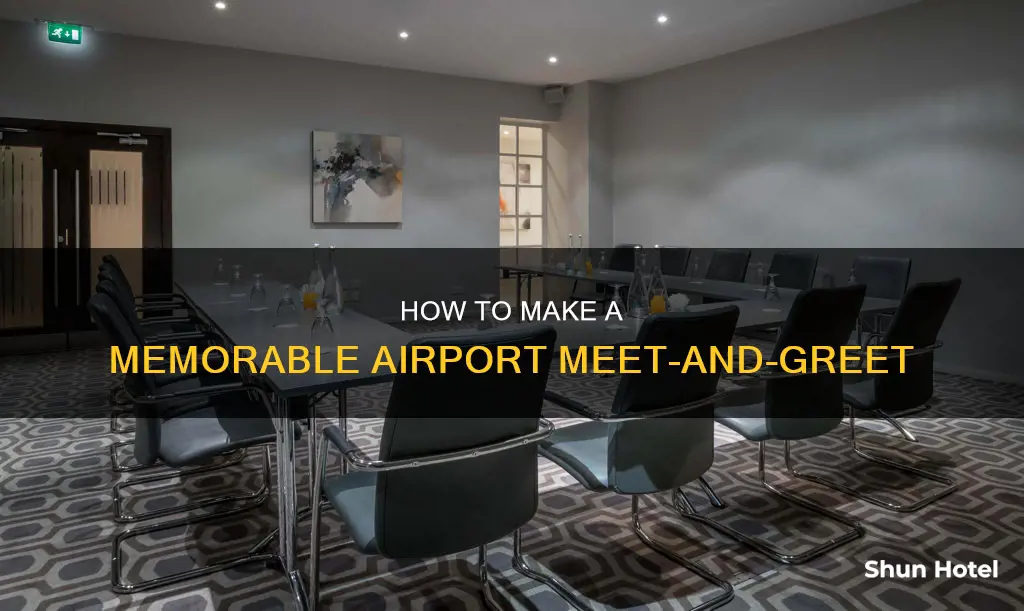 can you meet someone at the airport