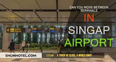 Singapore Airport Terminals: Easy to Move Between?