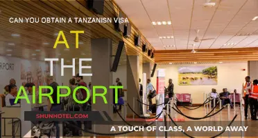 How to Get a Tanzanian Visa at the Airport