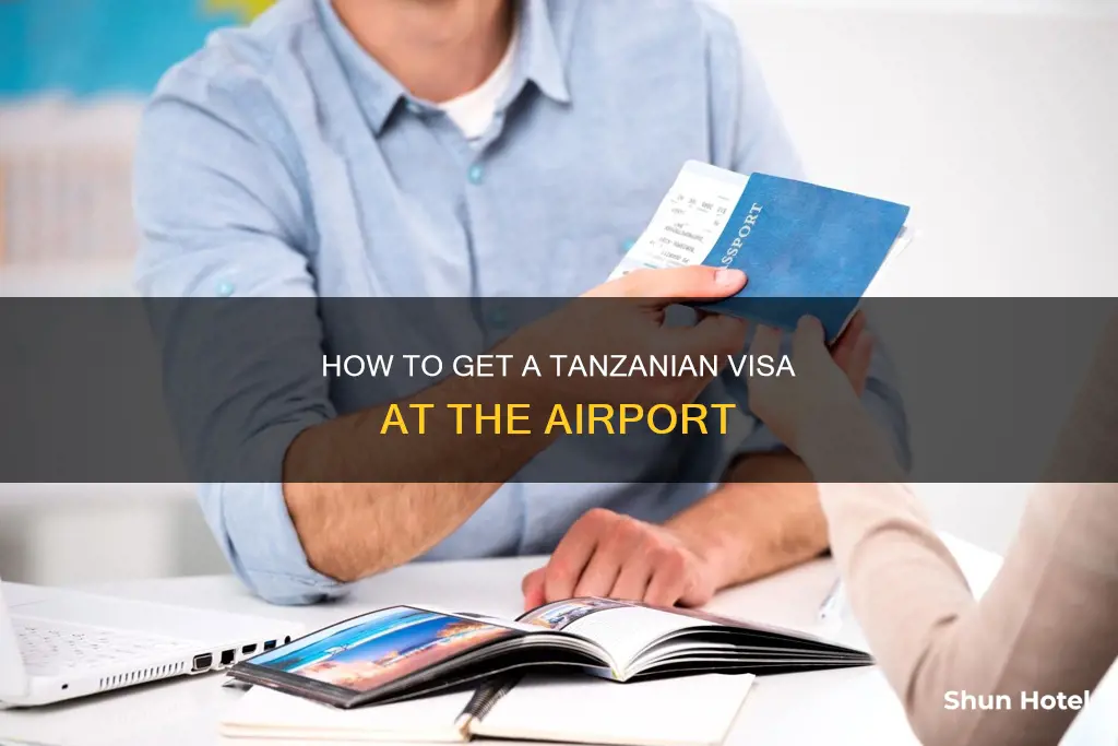 can you obtain a tanzanisn visa at the airport