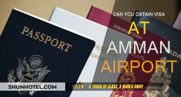 Obtaining a Visa: What to Know When Arriving at Amman Airport