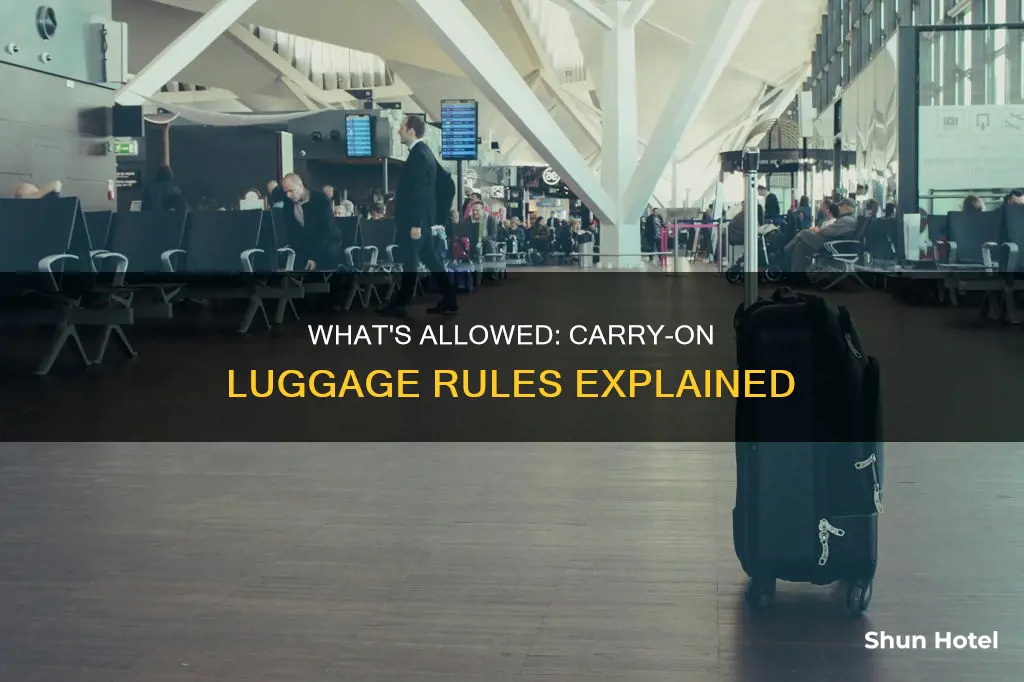 can you only have one carry on at airport