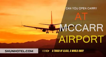 Open Carry at McCarran Airport: What You Need to Know
