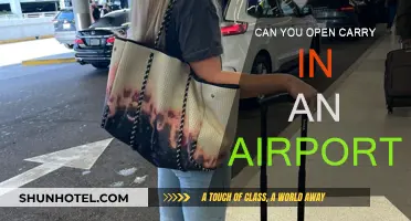 Airport Open Carry: What's the Law?