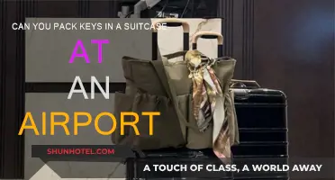 Suitcase Security: Keys, Airports and You