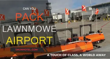 How to Travel with a Lawnmower: Airport Edition