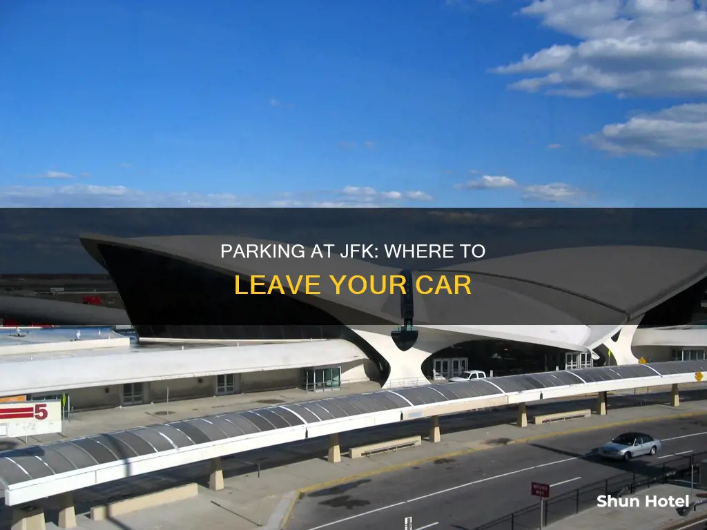 can you park a car at jfk airport