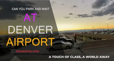 Denver Airport Parking: Can You Park and Wait?