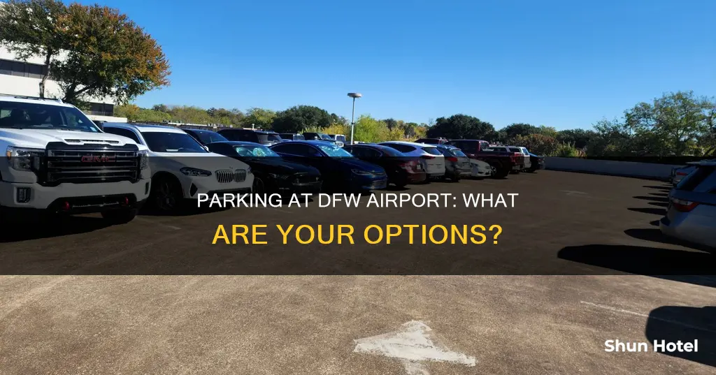 can you park at dfw airport